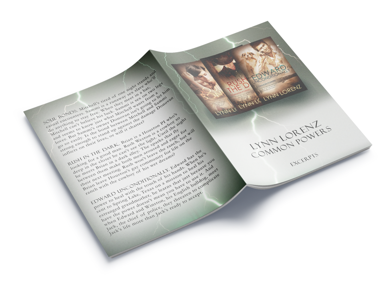 Promo Excerpt Booklet